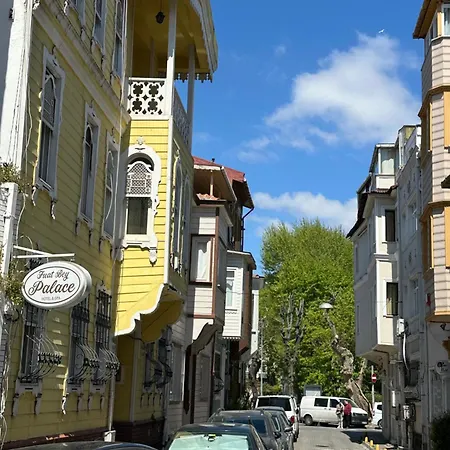 Tree House Sultanahmet Hotel *