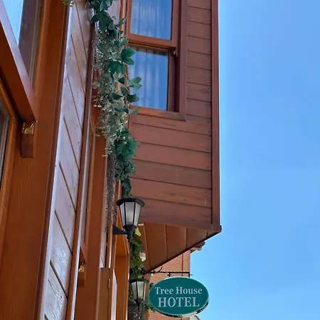 Tree House Sultanahmet فندق اسطنبول