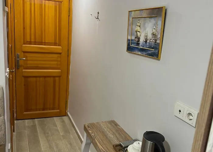 Hotel Tree House Sultanahmet *