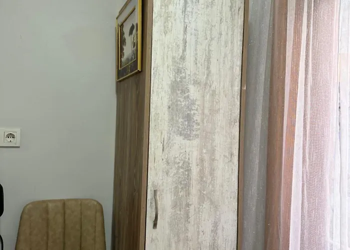 Tree House Sultanahmet