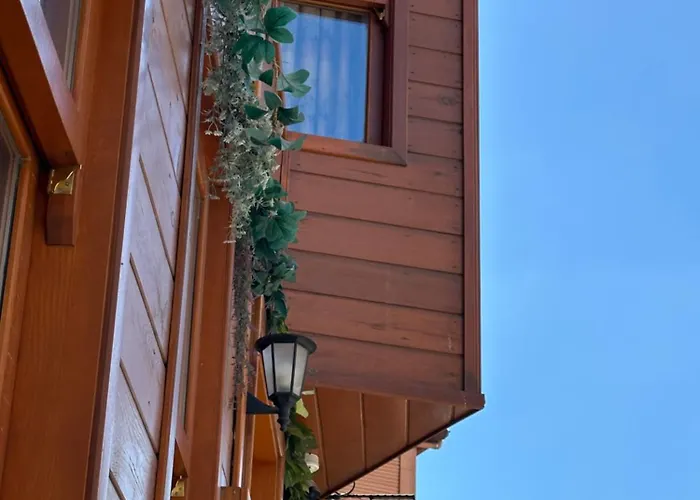 Tree House Sultanahmet Hotel Istanbul